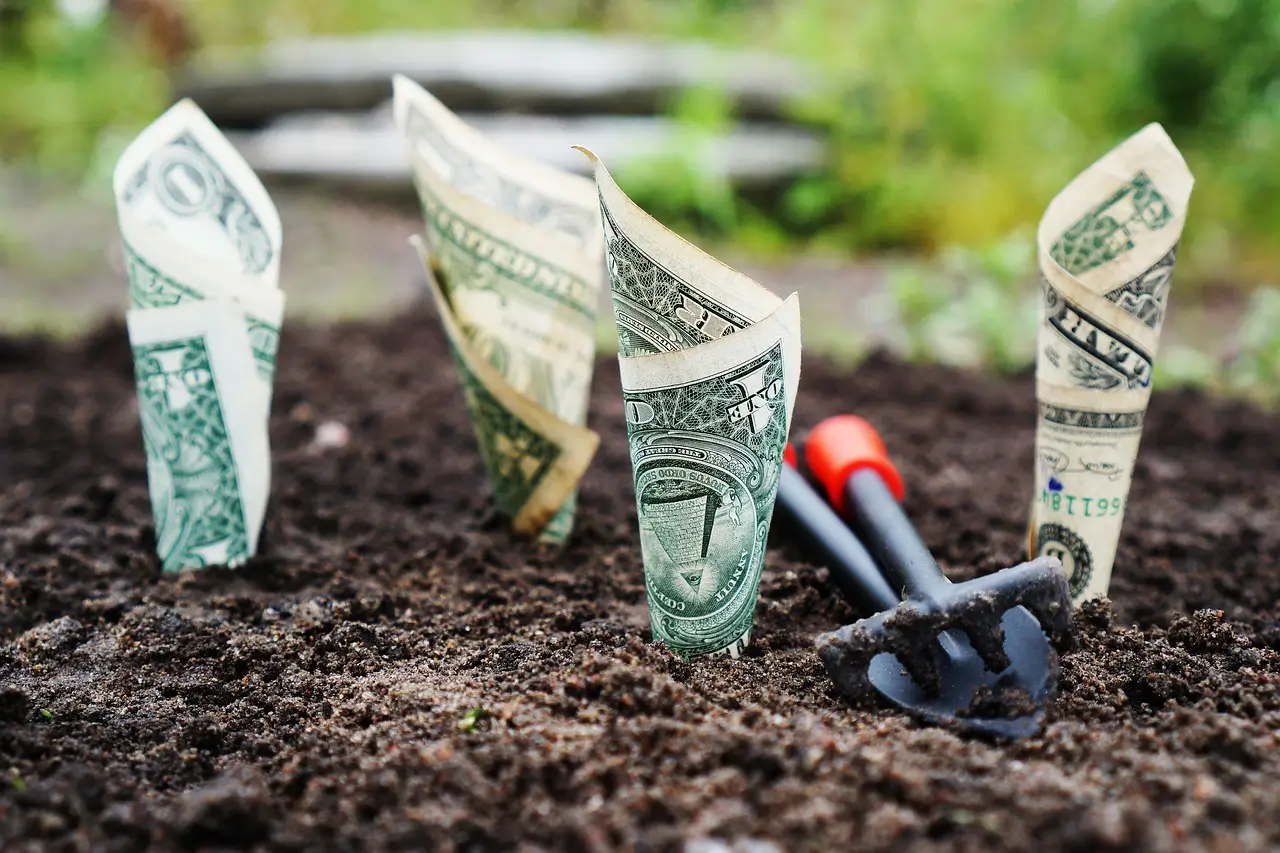 money-1604921_1280 How to Choose the Best Money Market Account for Your Savings