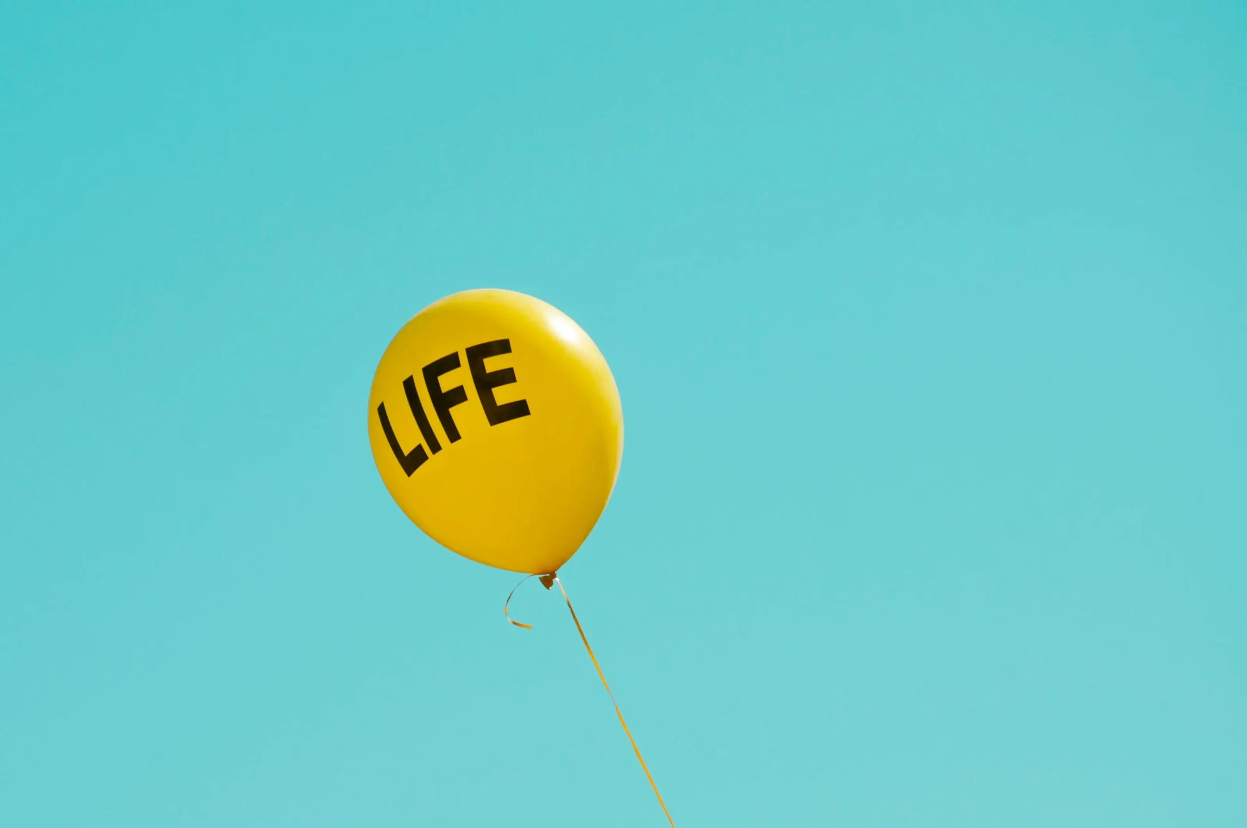 maria-oswalt-b9AEmlWZpCs-unsplash What is Variable Life Insurance